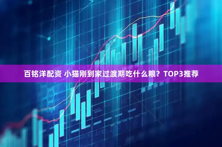 百铭洋配资 小猫刚到家过渡期吃什么粮？TOP3推荐