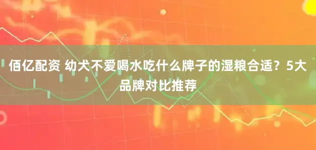 佰亿配资 幼犬不爱喝水吃什么牌子的湿粮合适？5大品牌对比推荐